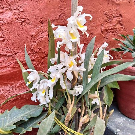 Bhattidanda Fresh & Natural Homestay Dhulikhel Zewnętrze zdjęcie