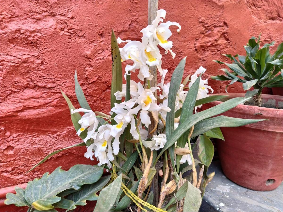 Bhattidanda Fresh & Natural Homestay Dhulikhel Zewnętrze zdjęcie