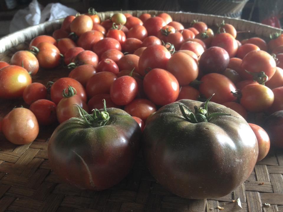 Bhattidanda Fresh & Natural Homestay Dhulikhel Zewnętrze zdjęcie