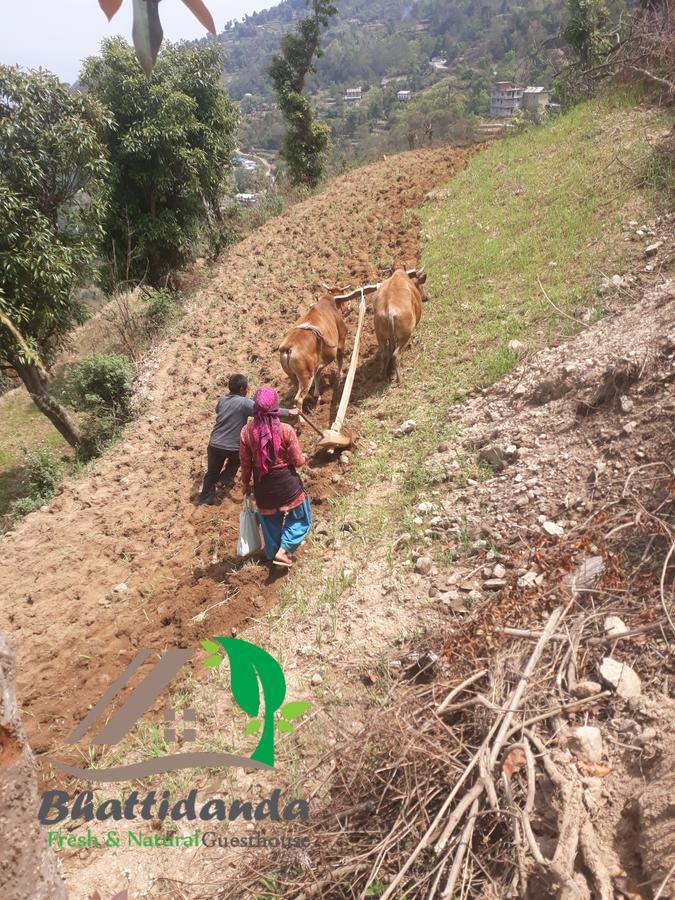 Bhattidanda Fresh & Natural Homestay Dhulikhel Zewnętrze zdjęcie