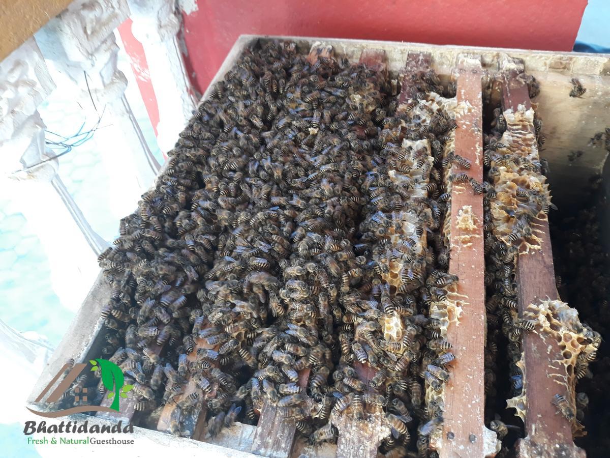 Bhattidanda Fresh & Natural Homestay Dhulikhel Zewnętrze zdjęcie